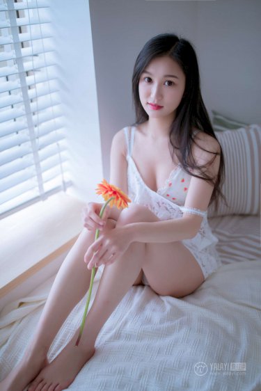 我的姐姐是大明星txt