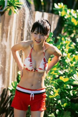 王牌贱碟