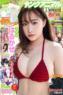 免费可播放男同志gay