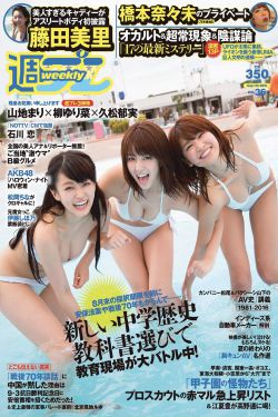 三分野电视剧全集免费