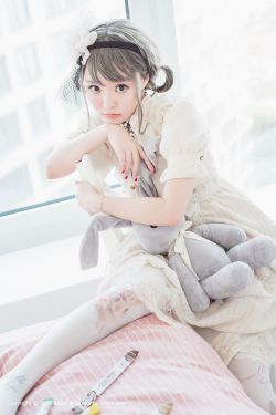 神奇宝贝之女宠军团完整版